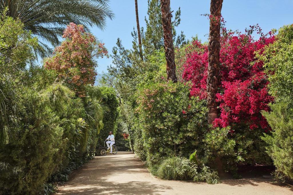 Parker Palm Springs Hotel Eksteriør billede